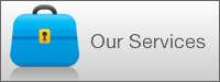 services Compliance and Risk Management consulting for the financial industry